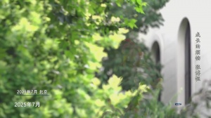 张博恒：我不知道28岁是不是我全能的极限，但目标全能战至28岁